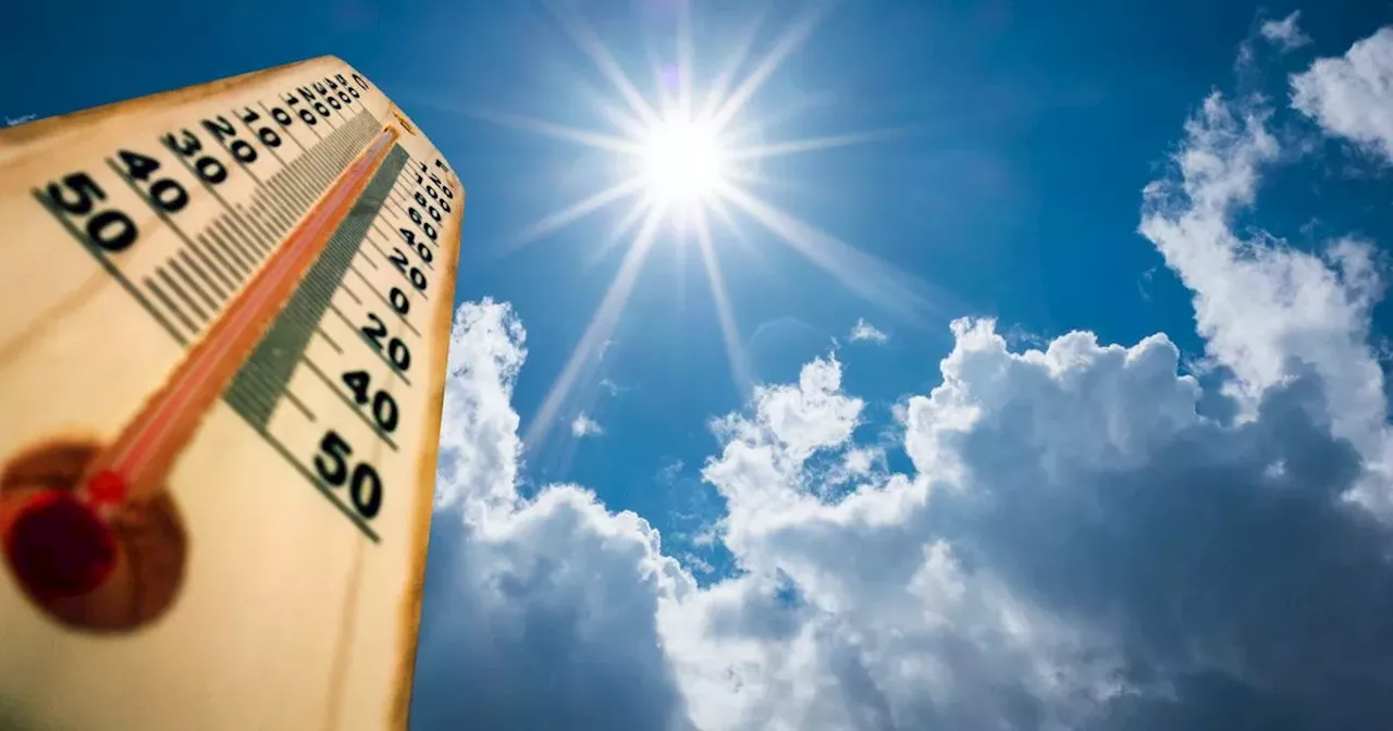 Ireland set to be one of Europe's warmest countries as temperatures soar to 13C