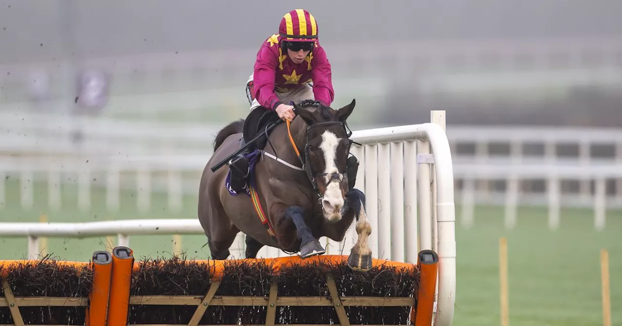 Irish-trained horse sees surge of bets for Cheltenham as bookies slash odds