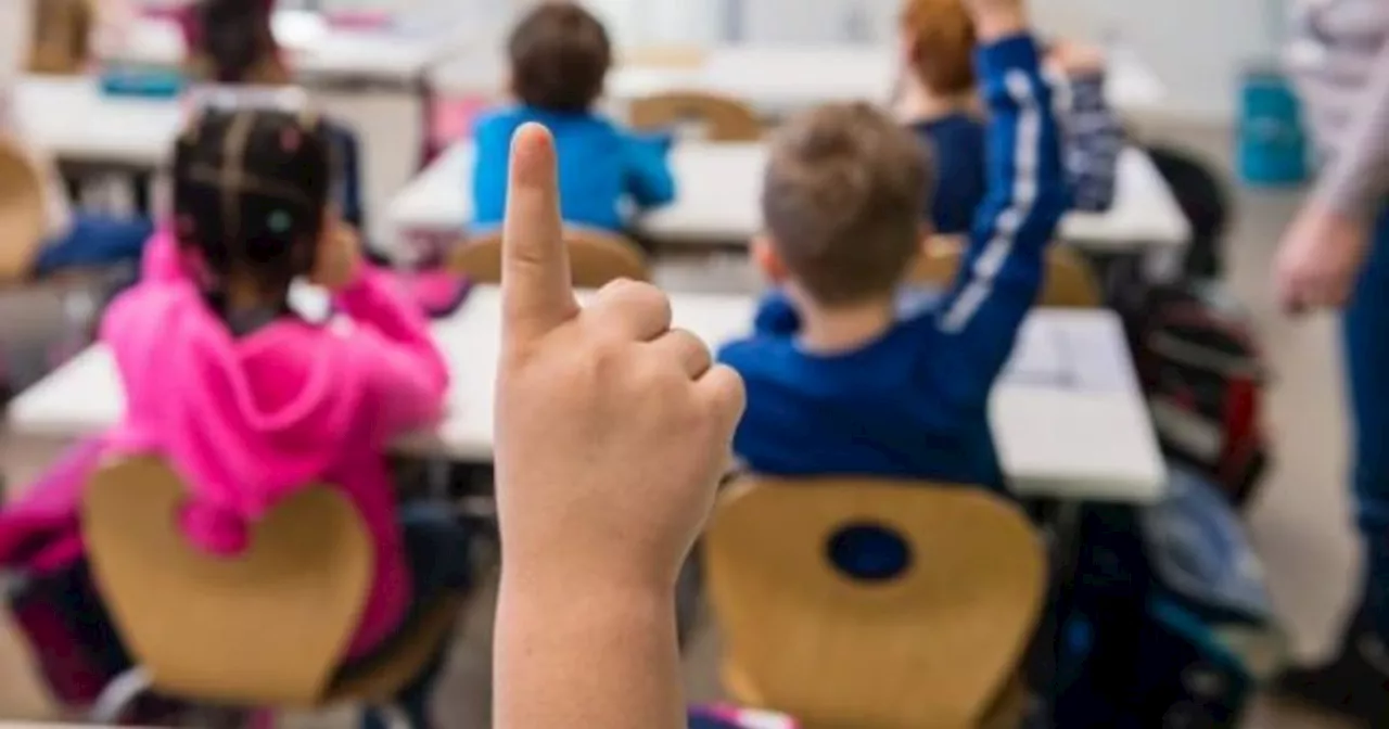 Plan to introduce foreign languages at primary level could ‘divert time from Irish’