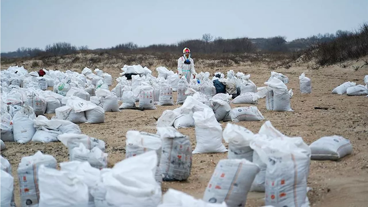 Основную часть вытекшего с кормы «Волгонефть-239» мазута собрали в Черном море