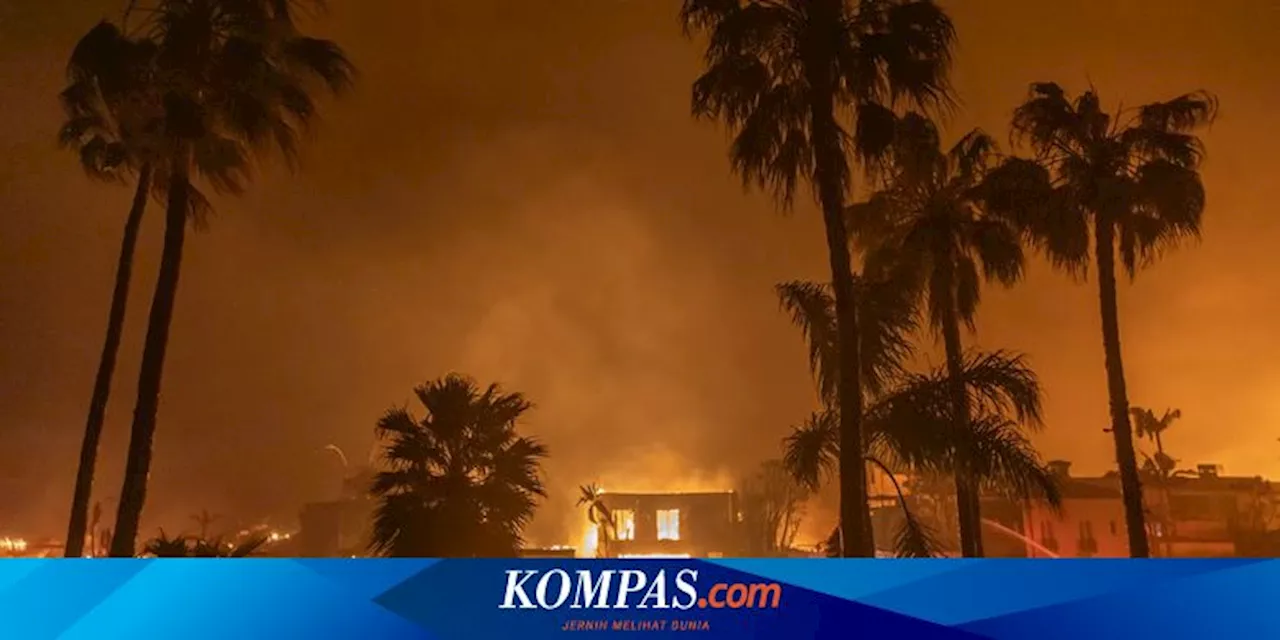 Kebakaran Hutan di Los Angeles: 24 Orang Tewas, Ancaman Angin Santa Ana