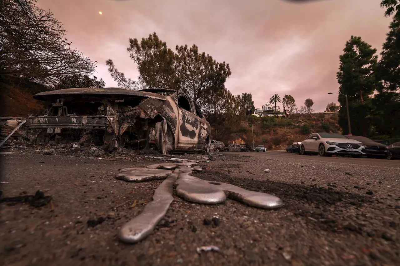 Incendies à Los Angeles : au moins 24 morts, des vents violents menacent