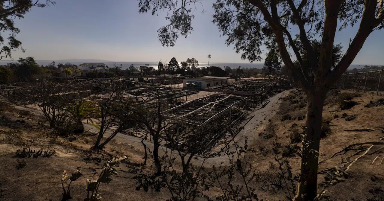 Fierce Winds Threaten LA as Wildfires Rage, Death Toll Climbs