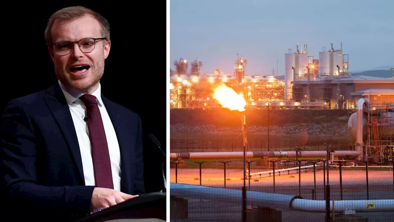 UK Energy Minister Denies Blackouts as Tories Sound Alarm Over 'Concerningly Low' Gas Levels