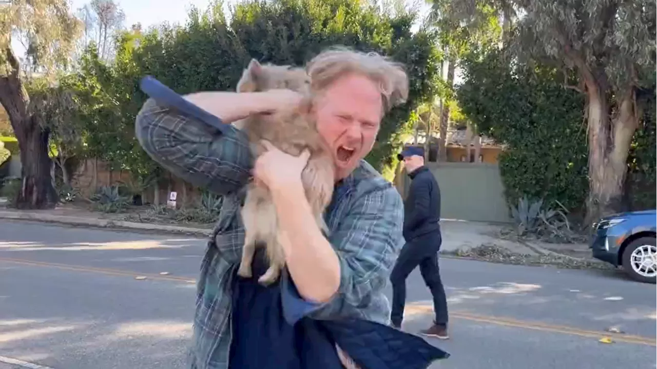 Incendies de Los Angeles : à Pacific Palisades, les retrouvailles émouvantes entre ce maître et son chien