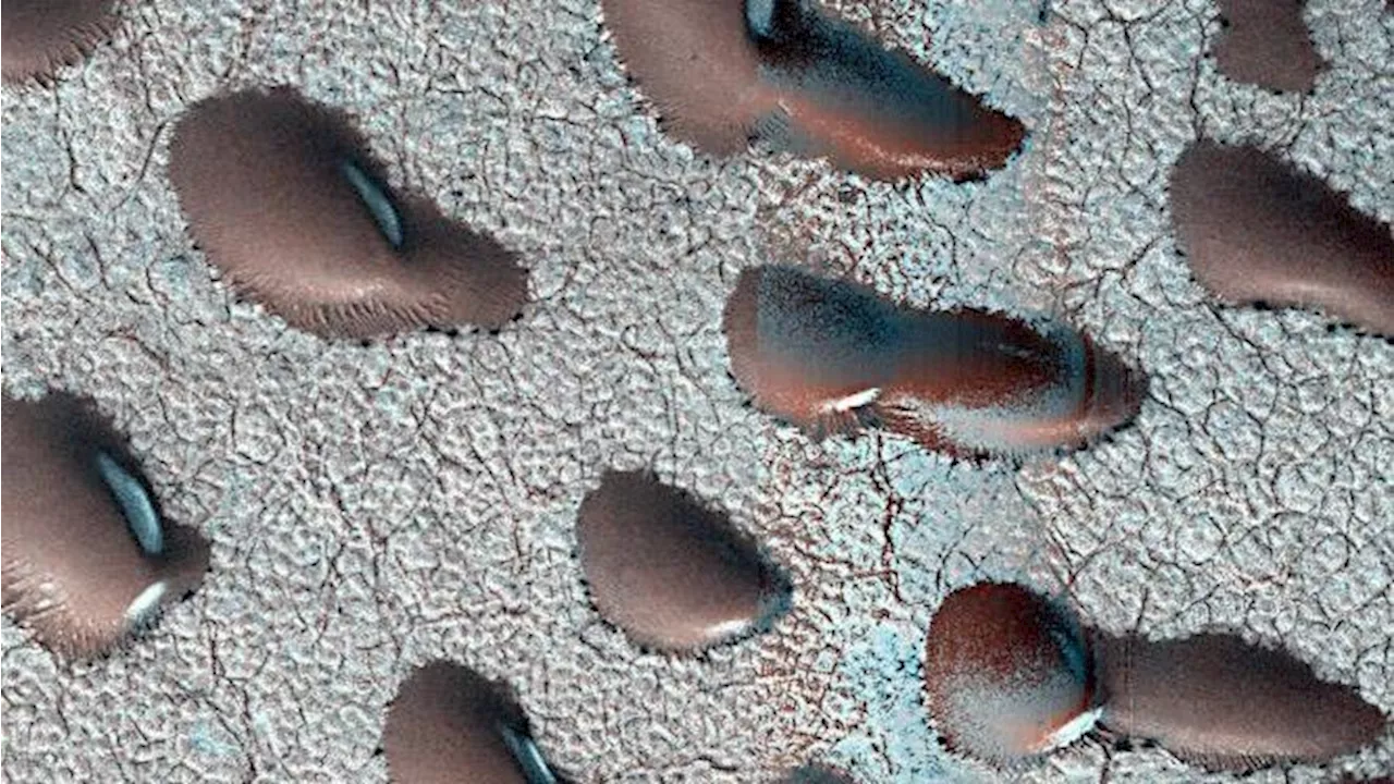 Frozen Martian Dunes Hold Clues to Past Habitability