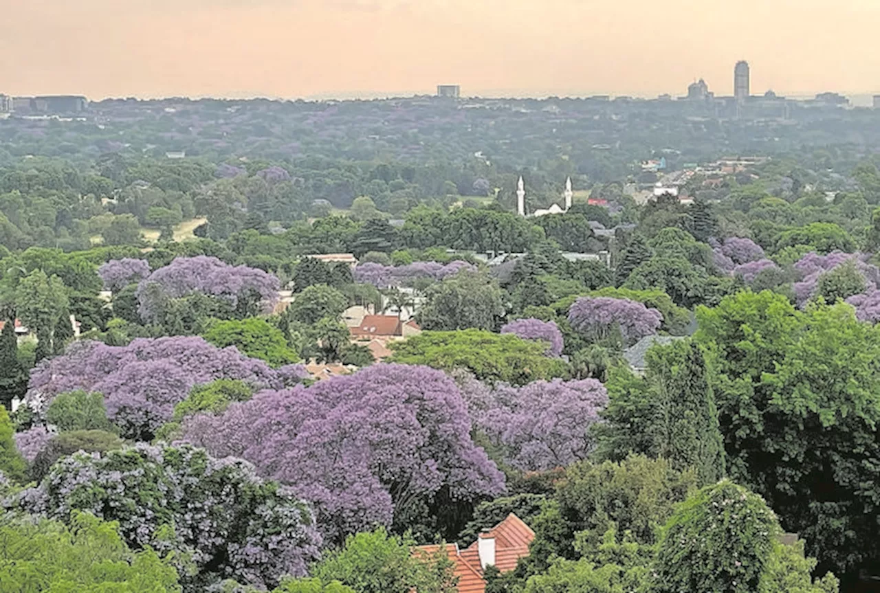 Johannesburg’s untapped property potential beyond Sandton