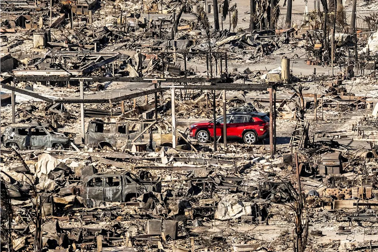 24 dead as fire crews try to corral Los Angeles blazes before winds return this week