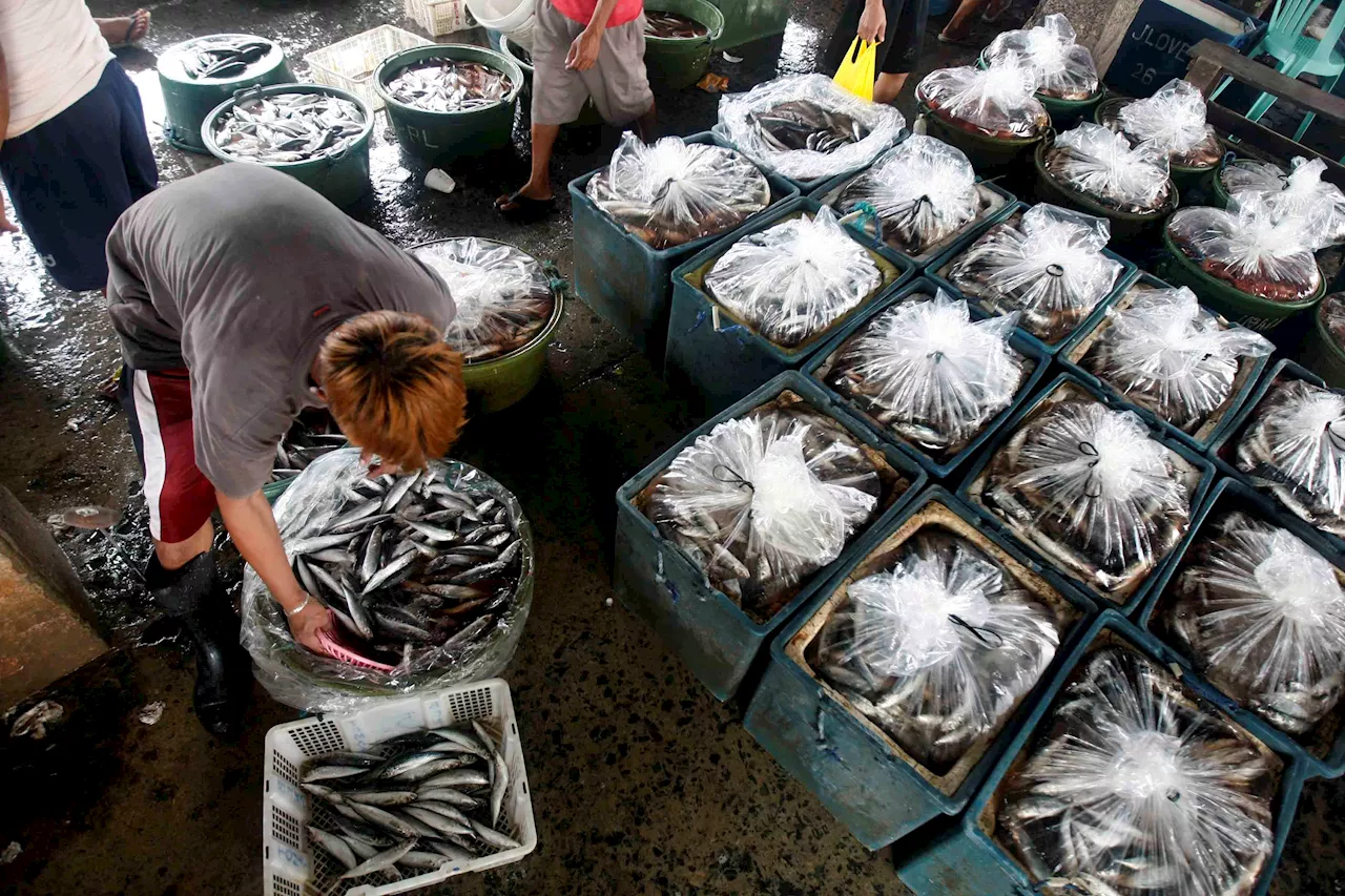 SC ruling may worsen decline in fisheries production, Yamsuan warns