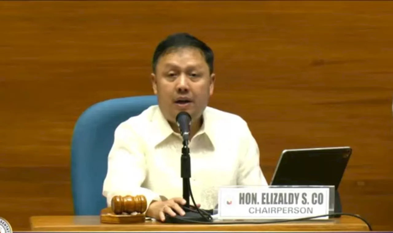 Zaldy Co removed as House appropriations panel chairman