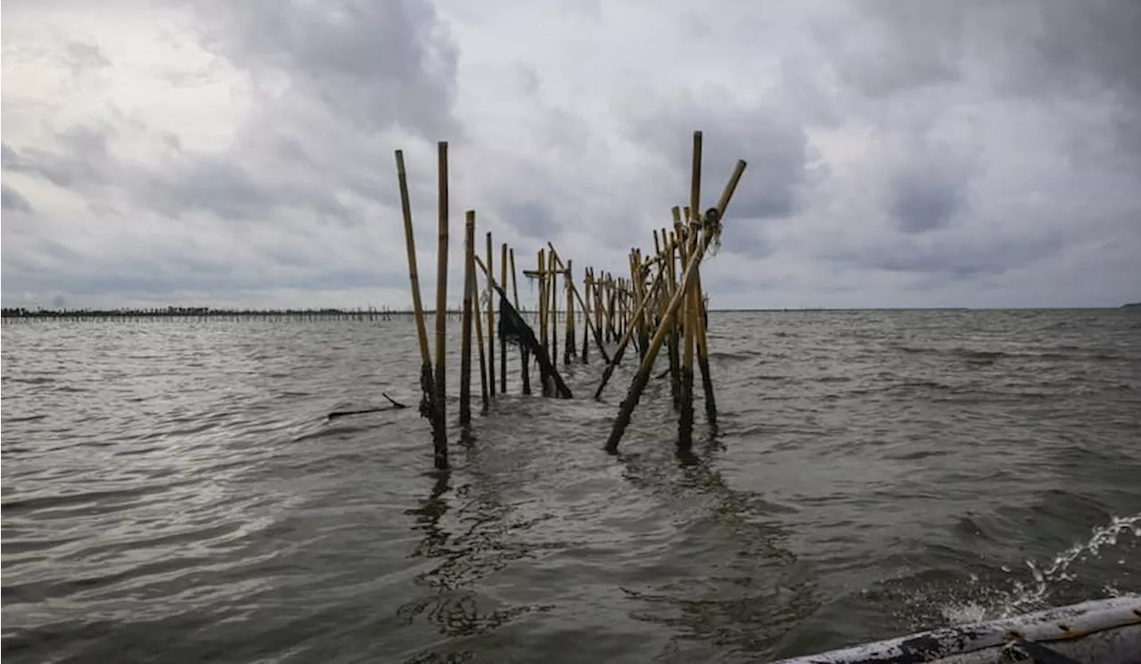 KLH Dalami Temuan Pagar Laut di Tangerang