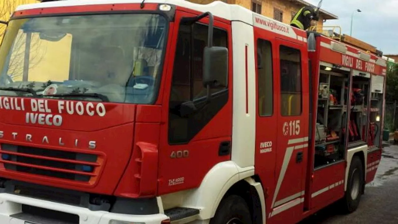 Albero cade su scuolabus a Rignano sull'Arno