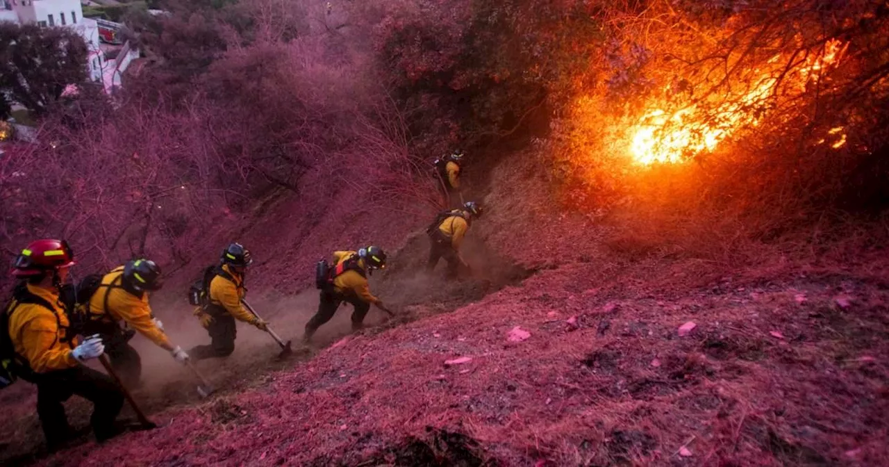 Los Angeles fires death toll reaches 24 as strong winds forecast to return