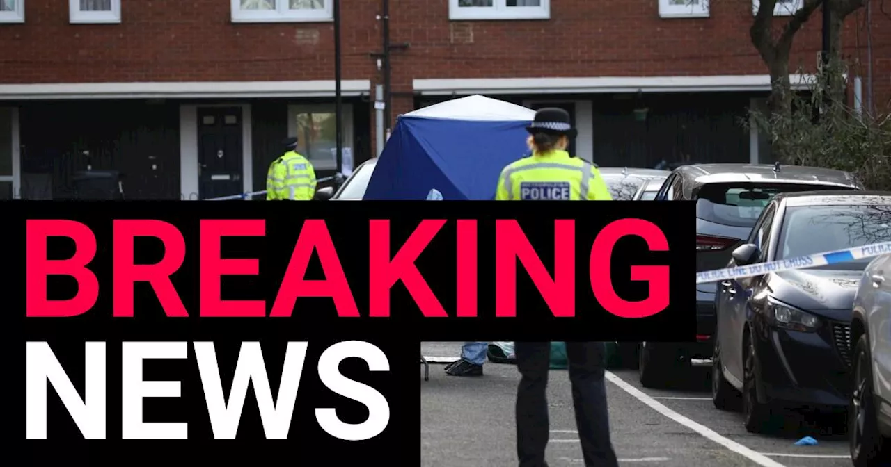 Man, 36, fatally stabbed in north London, four arrested