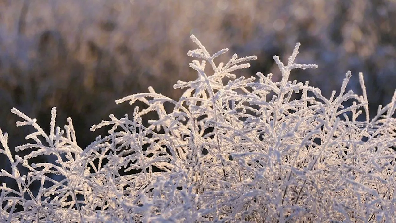 Vigilance Jaune « Grand Froid » en France