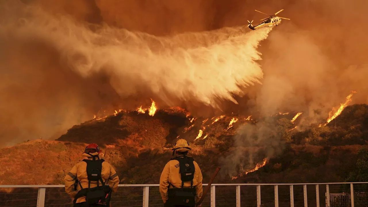 Waldbrände in Los Angeles: Gefährliche Winde wieder stärker