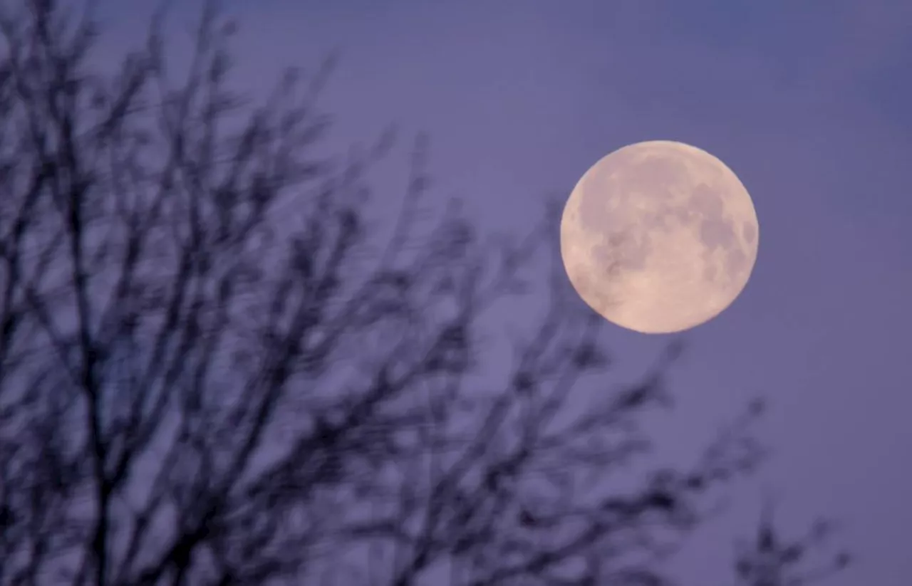 Der erste Vollmond des Jahres: Wolfsmond und Schlaflosigkeit