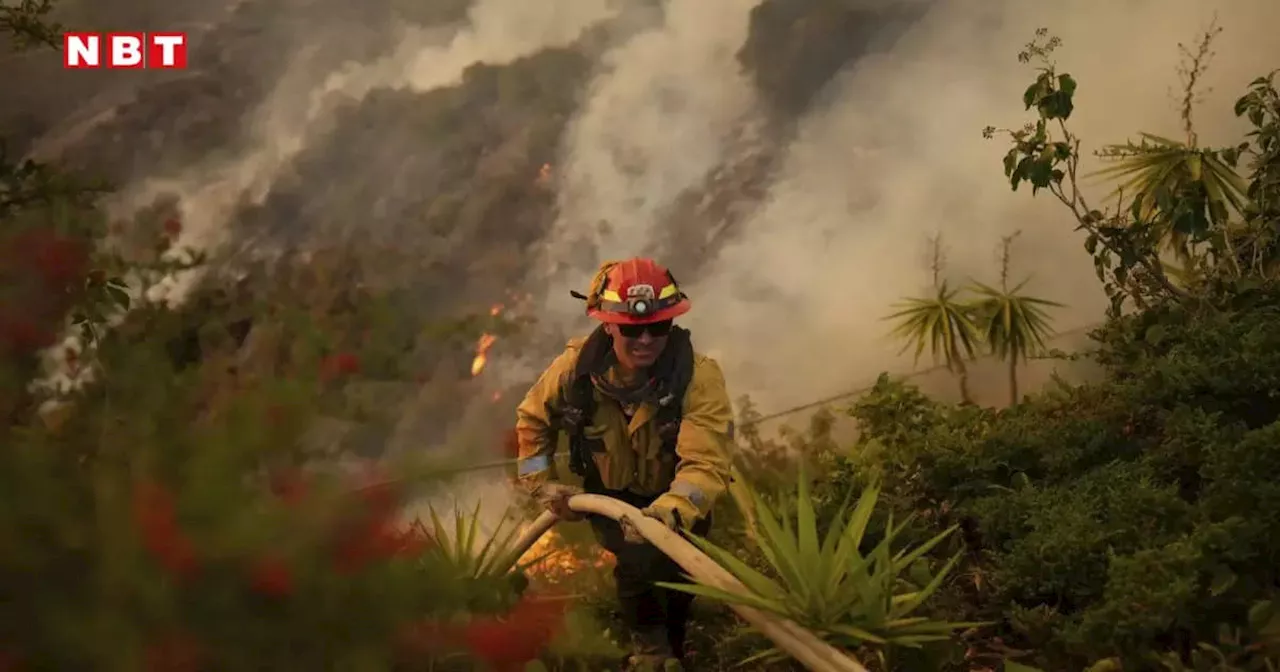 LA Wildfire: कहीं भारत में भी न बन जाए कैलिफोर्निया जैसे हालात, इस बड़ी वजह से फैली जंगल की आग