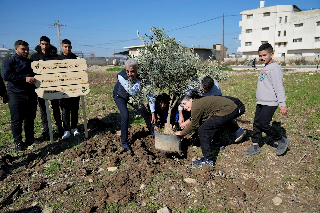 Palestinians dedicate a new West Bank olive grove to Jimmy Carter