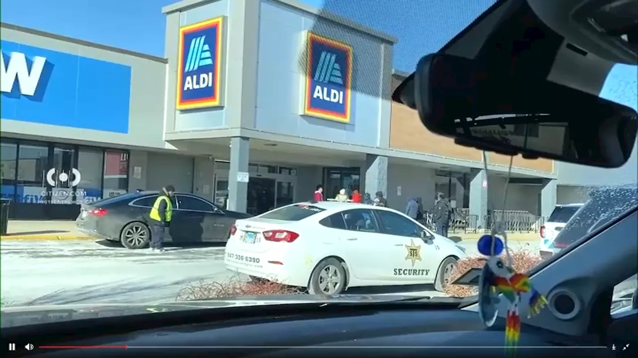 WATCH: Video captures coyote being pulled out Aldi fridge shelf in Chicago