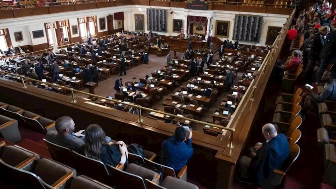 Understanding the Texas Legislature