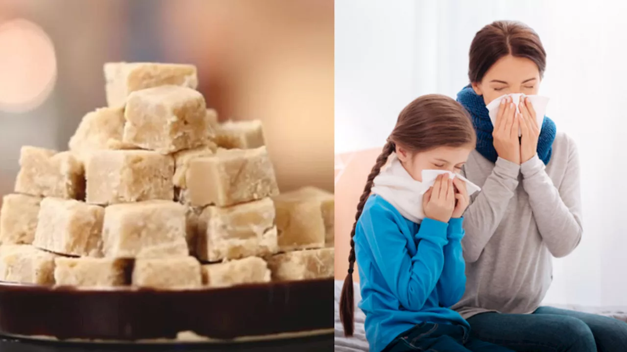 Ginger Barfi: सर्दी-खांसी में बेहद कारगर है अदरक की बर्फी, जानें बनाने की विधि