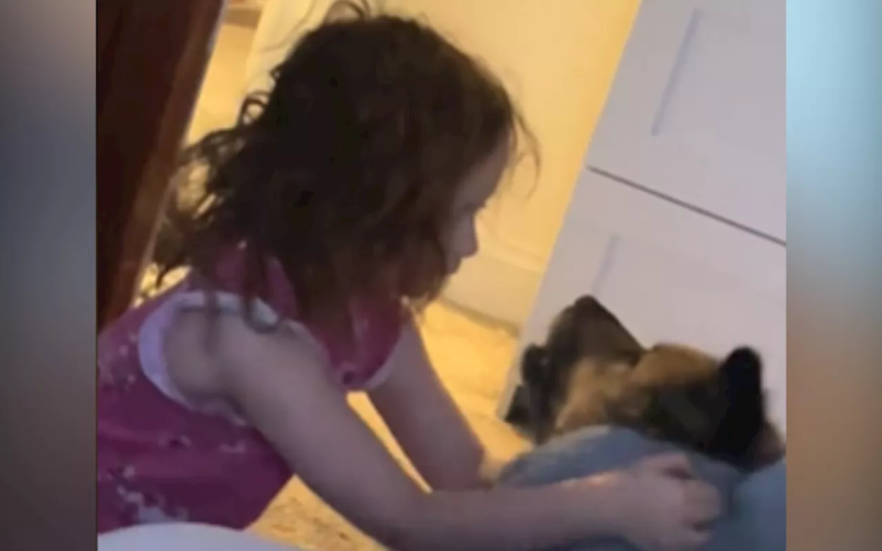 Mom's TikTok Video Highlights Importance of Vigilance Around Dogs and Children