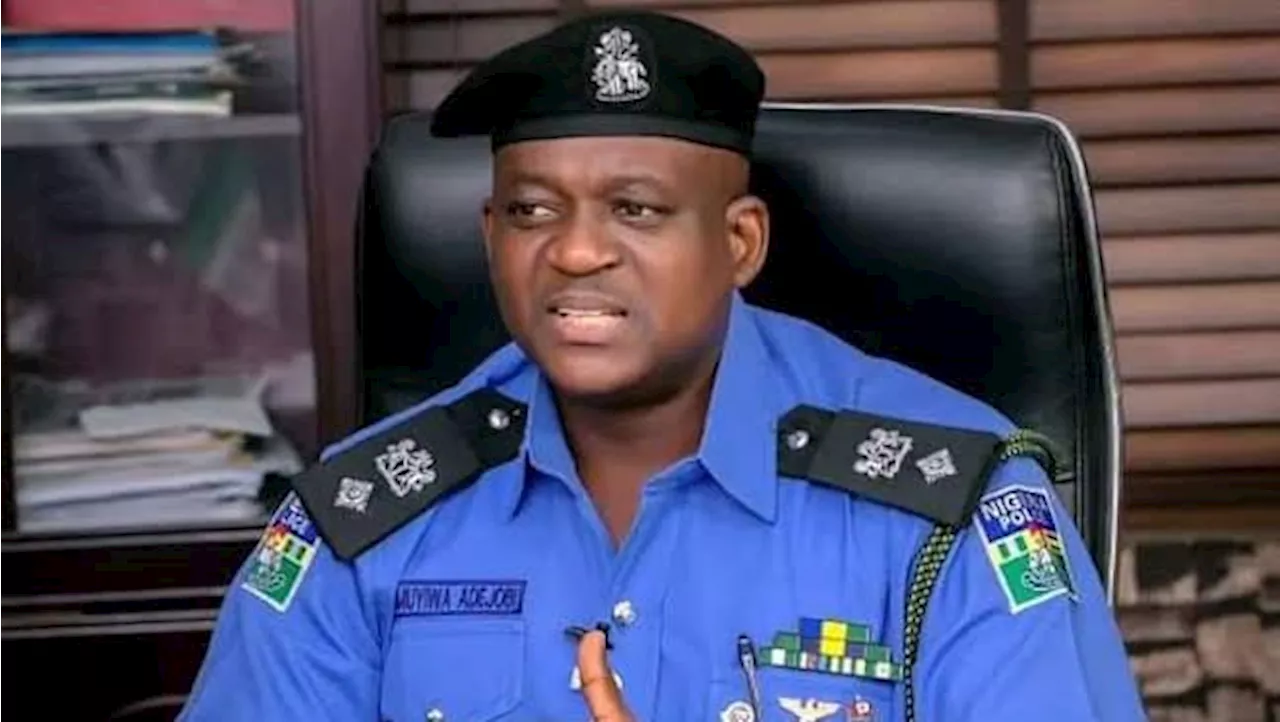 Anyone refusing to assist officers in danger of assault earns N100K fine, Police warns