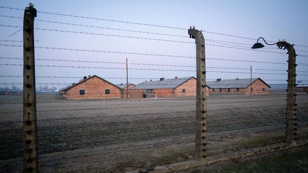 Auschwitz-Überlebende erinnern an die Befreiung