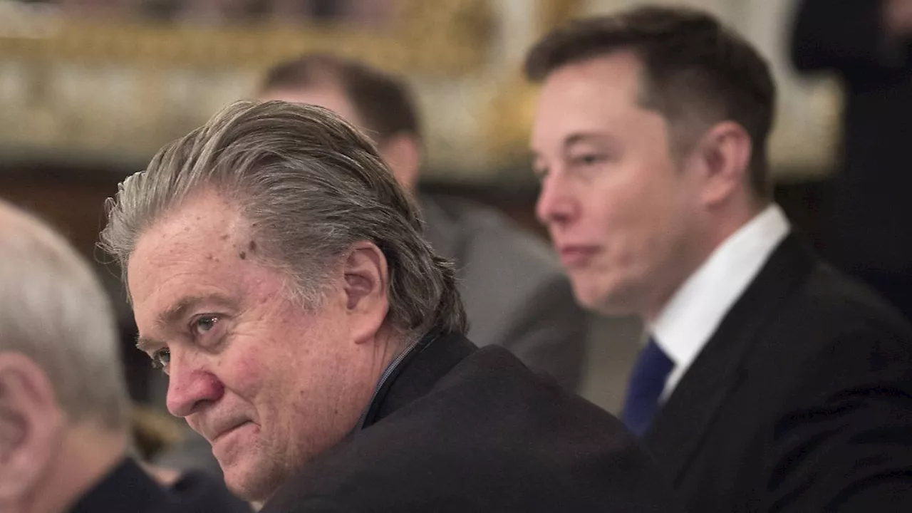 'Musk ist ein Rassist': Steve Bannon will Elon Musk zu Fall bringen