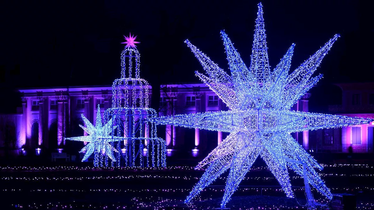 Sachsen: Besucherresonanz in Sachsens Christmas Garden wie im Vorjahr