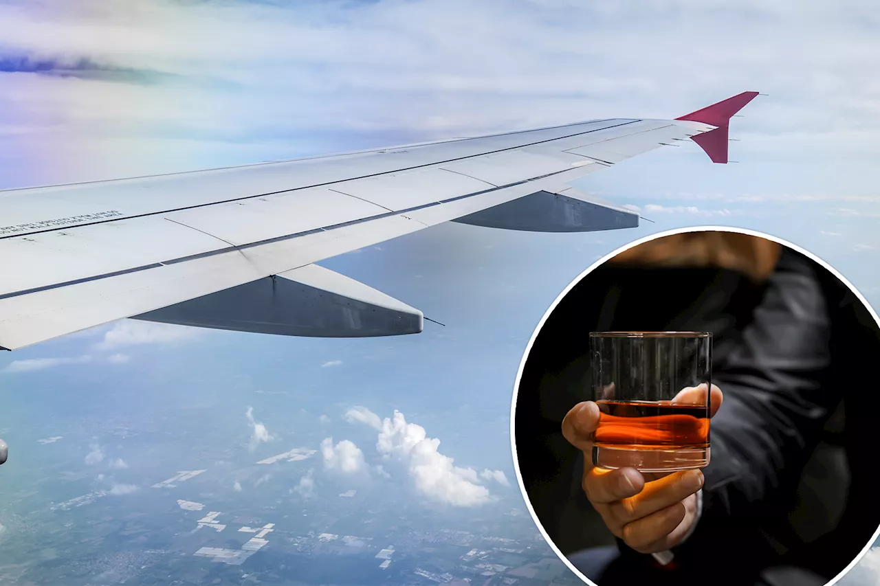 Airline begs airport bars to enforce 2-drink limit amid lawsuit against disruptive passenger