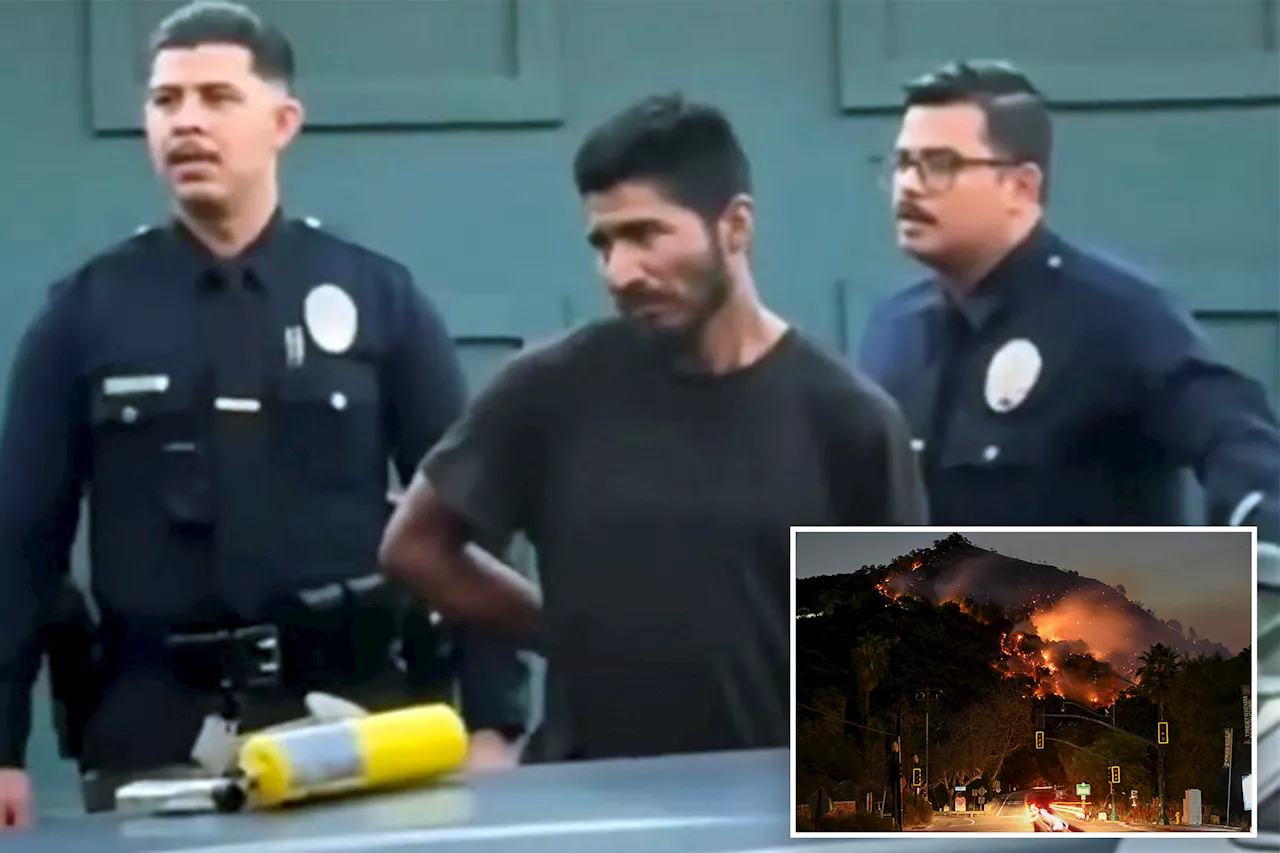 Suspect arrested with 'flamethrower' near LA Fire is an illegal immigrant: report