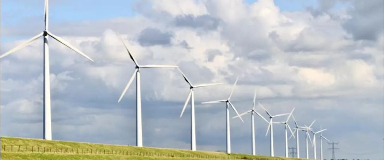 Germany's AfD Vows to Dismantle Wind Farms, Citing Trump