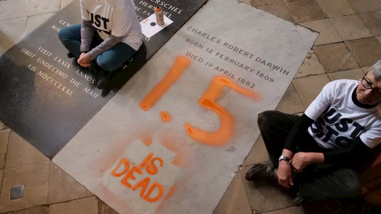 Activistas climáticos vandalizan la tumba de Darwin en la abadía de Westminster en Londres (Video)