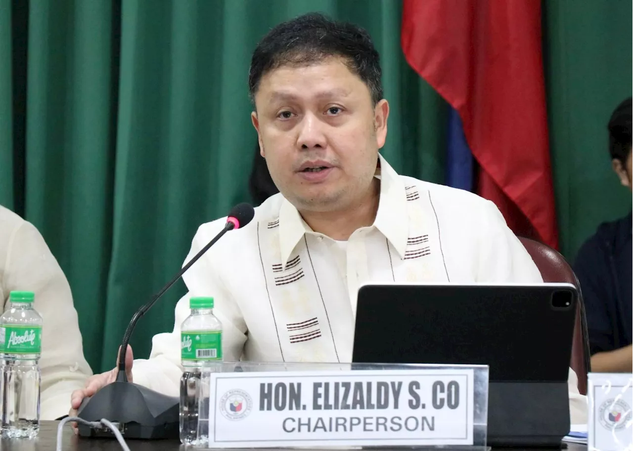 Zaldy Co removed as House appropriations committee chair in wake of budget mess