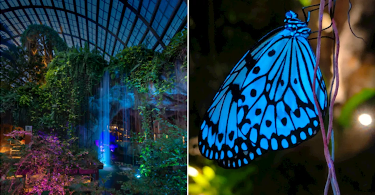 Entopia by Penang Butterfly Farm Launches World's First Biofluorescent Garden