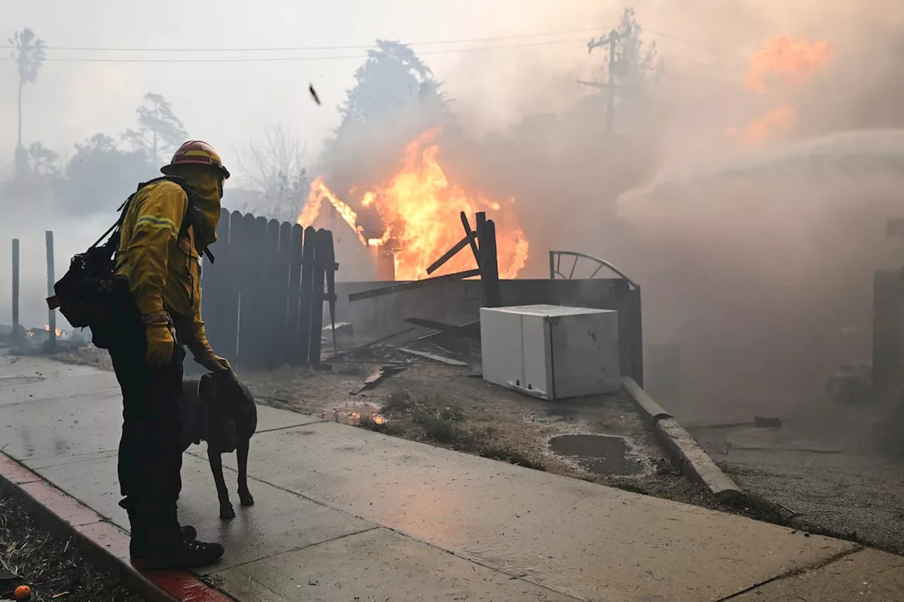 Latter-day Saints Rally to Aid Fire Victims in Southern California