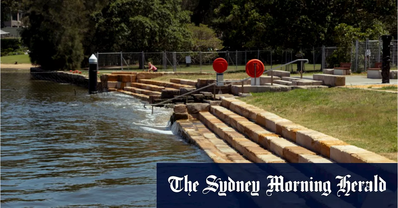 First Pondi, now Panly: The new Sydney beach seven years in the making