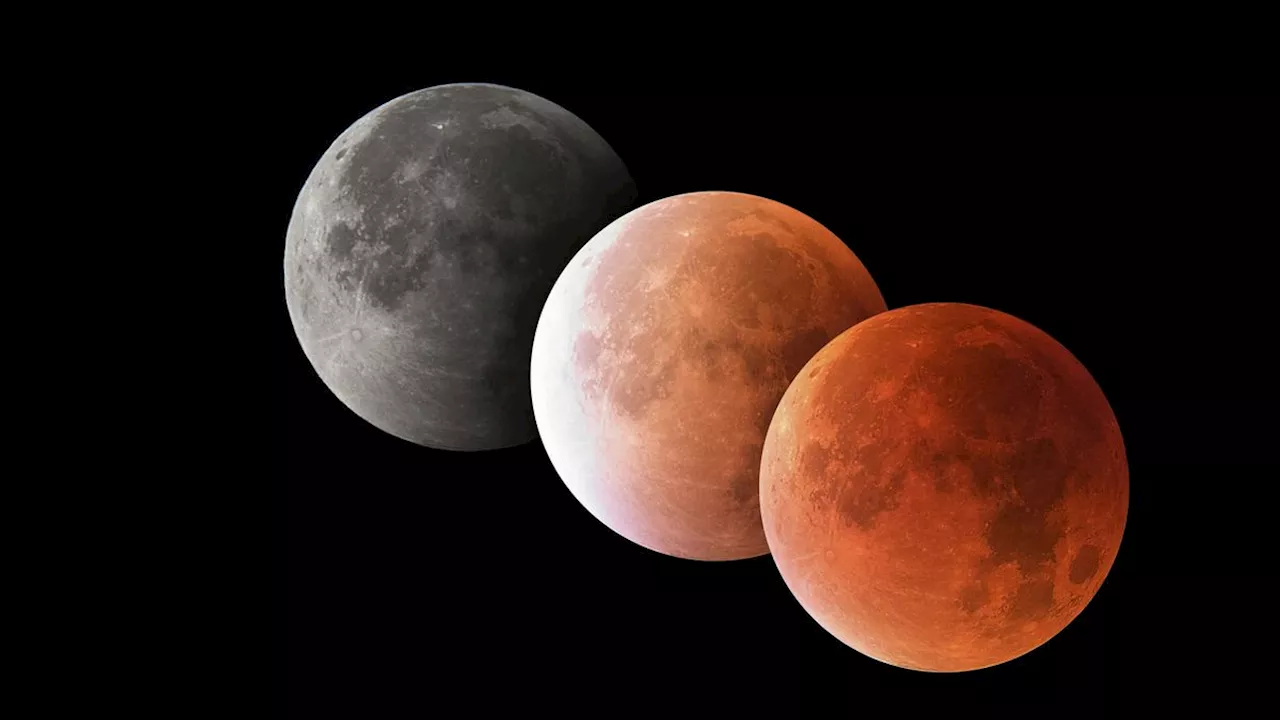 Witness the 'Blood Moon' Total Lunar Eclipse in 2025