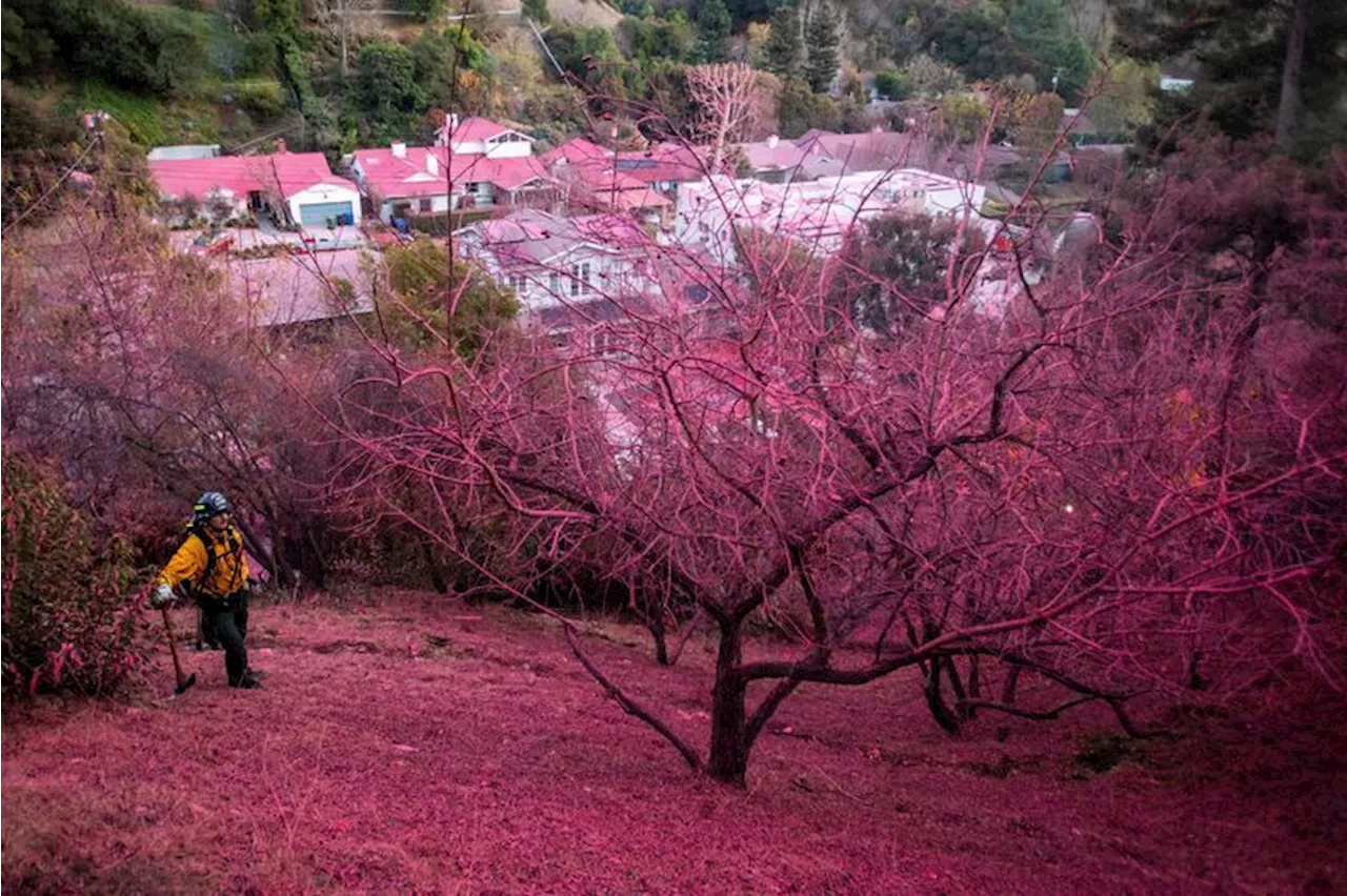 Dangerous winds forecast to resume in fire-stricken Los Angeles