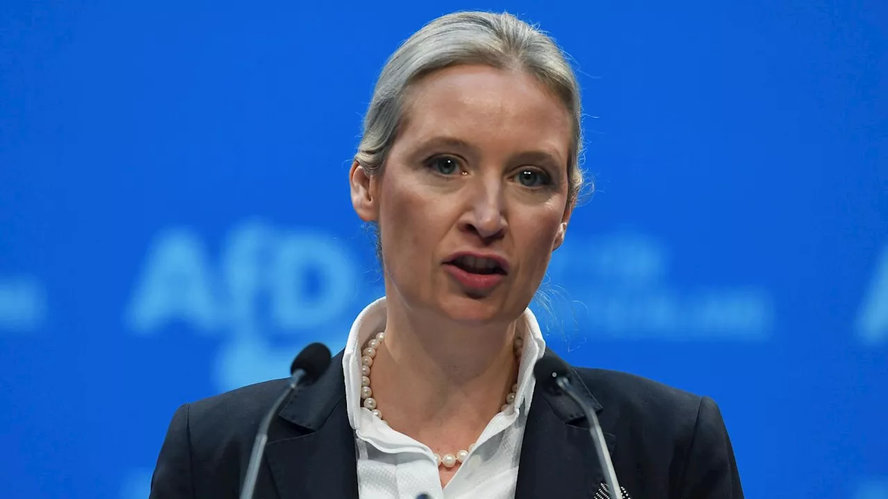 AfD-Politikerin Alice Weidel Empfiehlt Buch zum Euro - Autor Empört