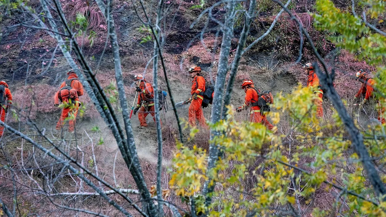 Los Angeles: Mehr als 900 Strafgefangene helfen der Feuerwehr