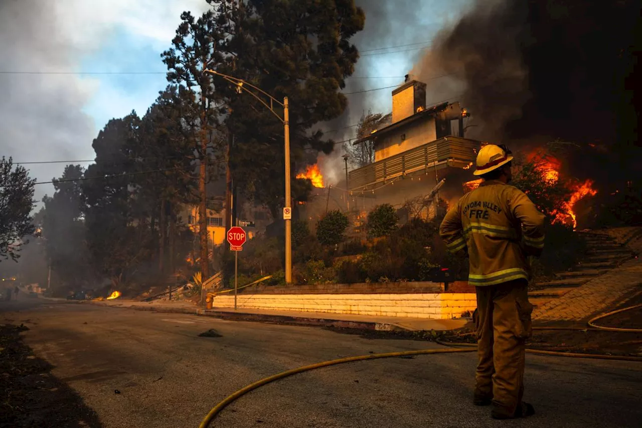 Incendies à Los Angeles : un pillard déguisé en pompier interpellé dans une zone sinistrée