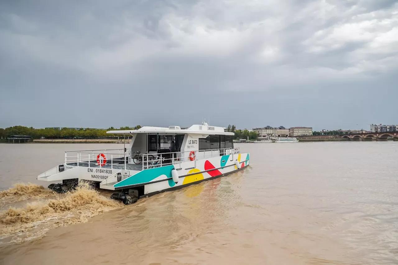 Navettes fluviales à Bordeaux : le marché des “Bato” retoqué par la justice, la Métropole fait appel