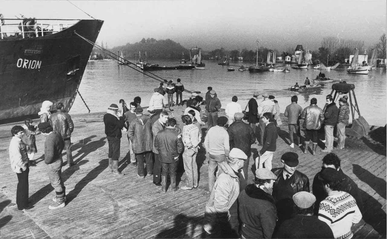 Pêcheurs Professionnels de Gironde en Grève contre les Amateurs