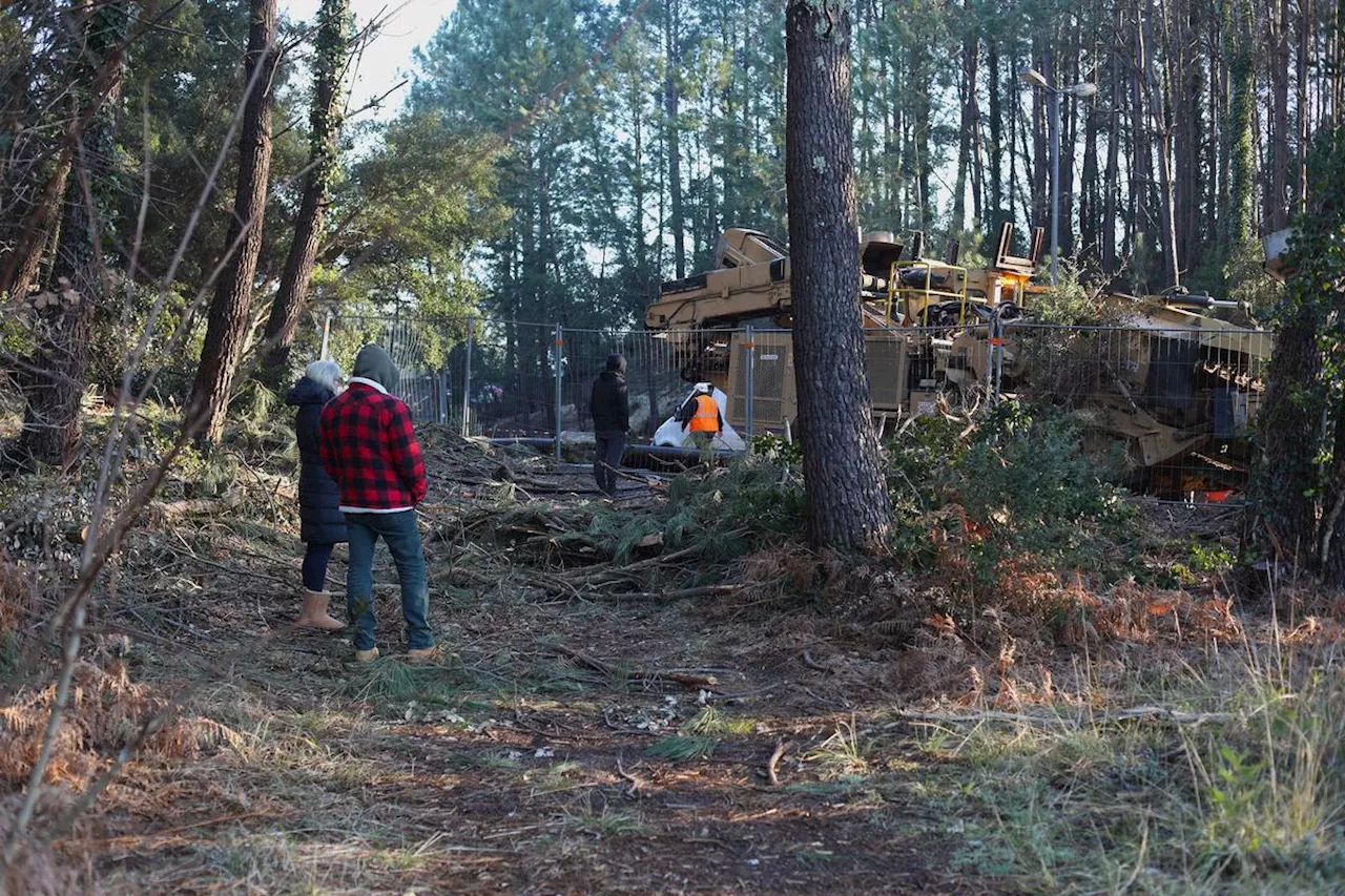 Projet RTE dans le Sud Landes : les opposants tentent toujours de freiner le passage de la ligne THT à Hossegor