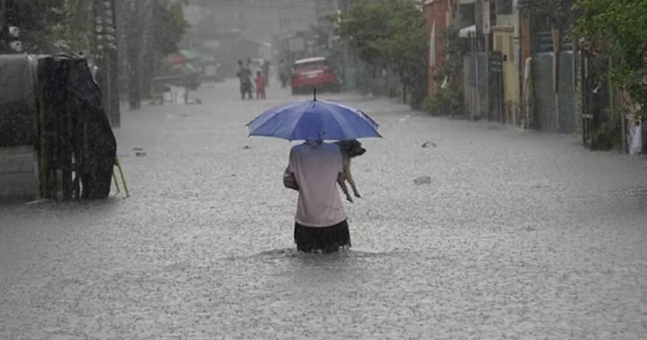 La Niña to Bring Above-Normal Rainfall in the Philippines Early 2025