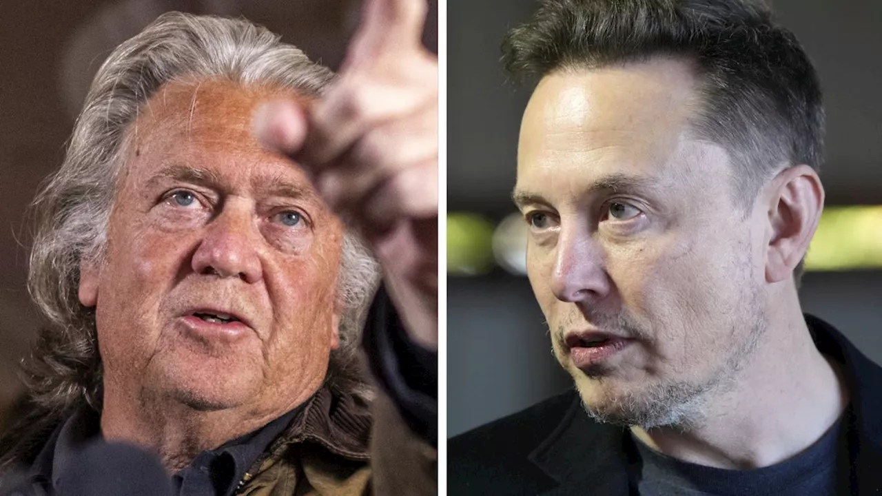 Steve Bannon: ”Musk måste hållas borta från Vita huset”