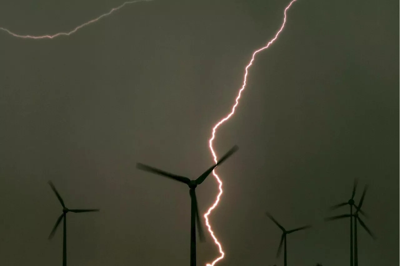 Alice Weidels Angriffe gegen Windkraft: Auch ökonomisch dumm